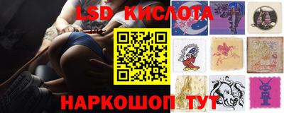 дурь Сланцы
