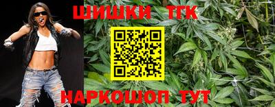 дурь Сланцы