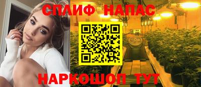 ешки Славгород