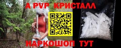 ешки Славгород