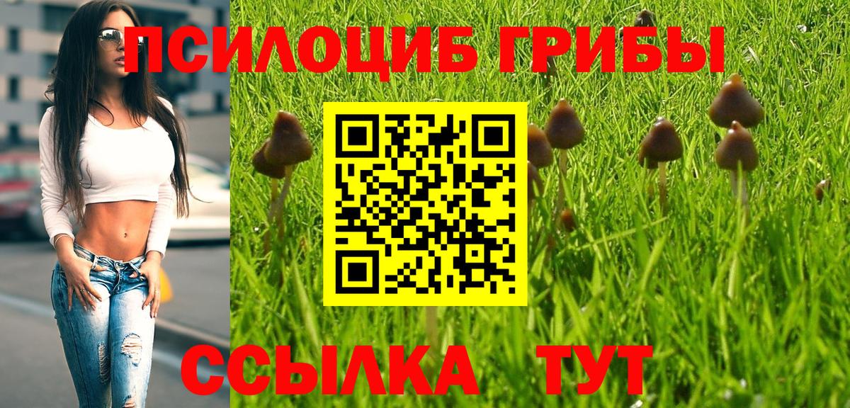 Омск  Псилоцибиновые грибы Magic Shrooms  Вход с VPN 
